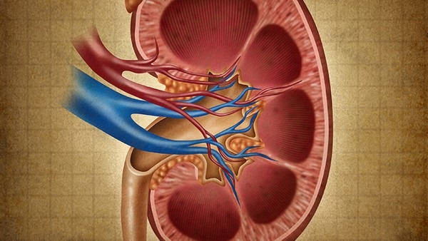 腎虛常見的誤區(qū)都有哪些 這4個常見誤區(qū)要多加注意