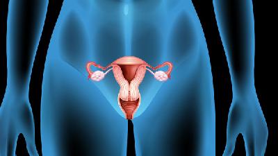 女性性激素的紊乱导致宫颈糜烂