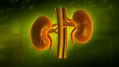 三分之一的肾病患者会出现高血压