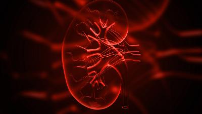 尿毒症是由什么引起的呢