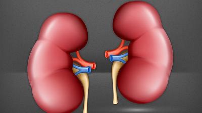 高血压病人很容易转为尿毒症