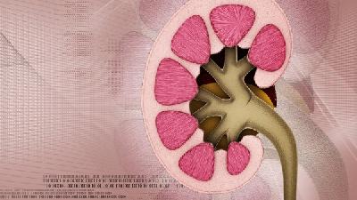 怎样诊断肾病综合征呢?