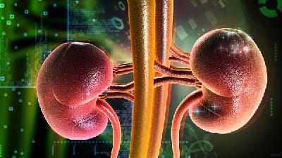 小儿肾病综合症有什么特点