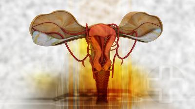 女性为什么会得卵巢囊肿呢？