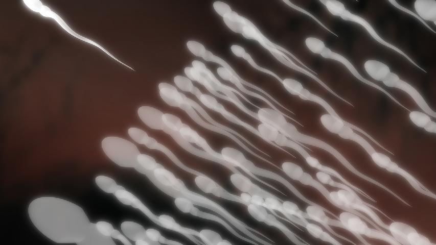 男性不育的检查