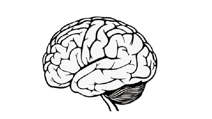脑萎缩的致病原因主要有什么