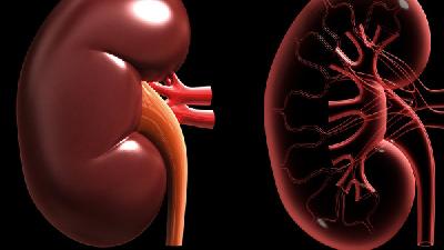 了解小儿肾病综合症后才能及时进行治疗
