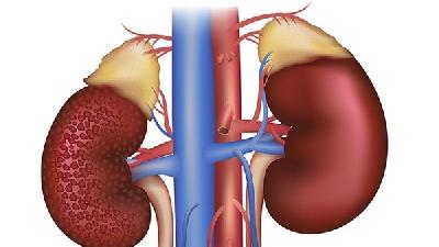 肾盂肾炎可能引起儿童患者胃疼