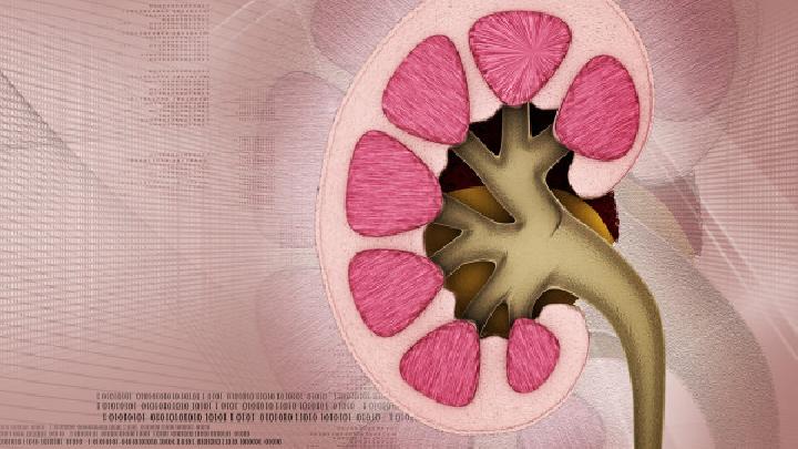 患上肾病综合症能吃什么呢