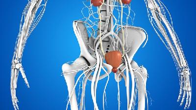 解析诱发尿毒症的六个因素