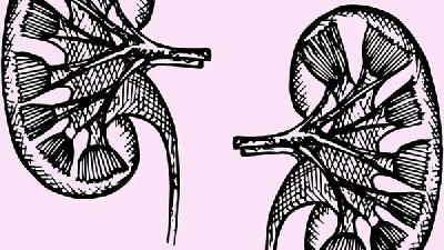 喝粥帮男性缓解肾虚困扰