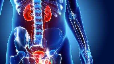 揭秘肾盂肾炎的治疗原则有哪些