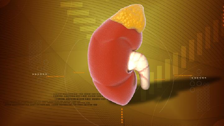 肾炎初期的症状能反映出病情所在