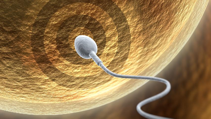 为什么精子过多会导致男性不育呢?