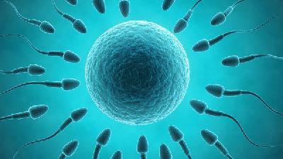 长期阴茎异常勃容易导致不育症