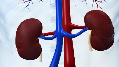 患者家属要重视肾盂肾炎的家庭护理