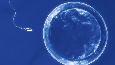 从基础体温判断最佳受孕期