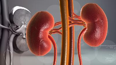 家长要重视对小儿肾病综合症的护理工作