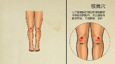 誘發(fā)鼻咽癌的因素不僅僅是遺傳
