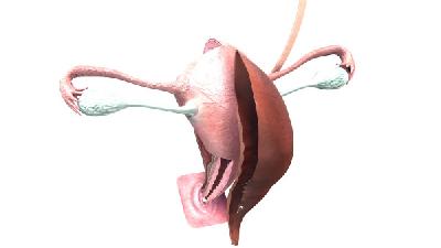 PCOS患者中患抑郁症风险大4倍