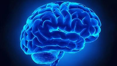 人們有必要了解導(dǎo)致腦萎縮發(fā)生的原因