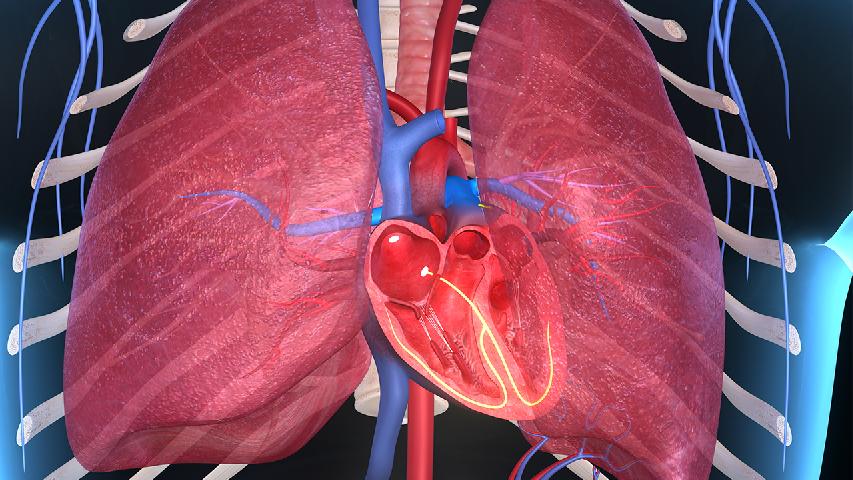 窦房传导阻滞是窦性心律失常的常见症状