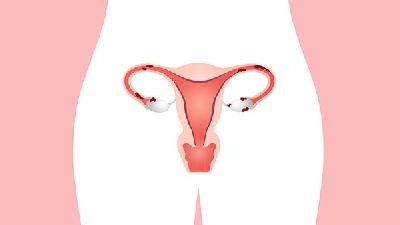慢性输卵管炎可导致不孕