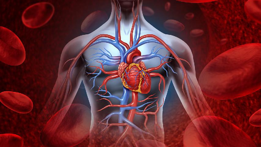 专家介绍心律失常的心电图检查