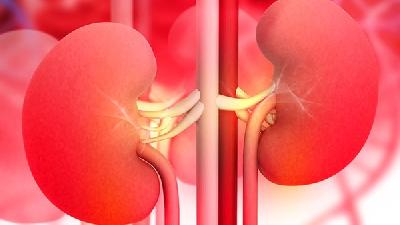 為大家講解主要的急性腎盂腎炎的癥狀