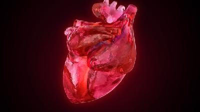为大家讲解主要的导致心肌缺血发生的原因