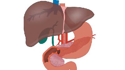 中毒性肝炎的4个临床分型