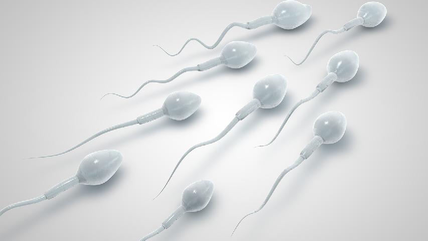 前列腺炎如何引发男性不育