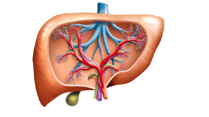 需要与肝腹水相鉴别的5种腹水