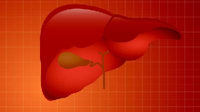 肾脏血液动力学异常可导致肝腹水