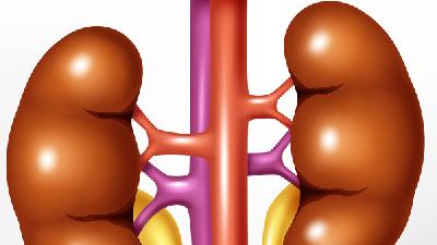 燒傷后急性腎功能不全患者實驗室檢查