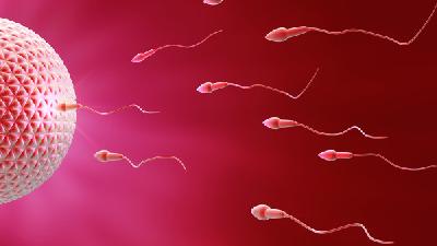 吸烟可影响精液质量导致男性不育