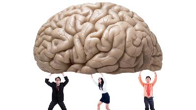 勤用脑可有效预防脑萎缩