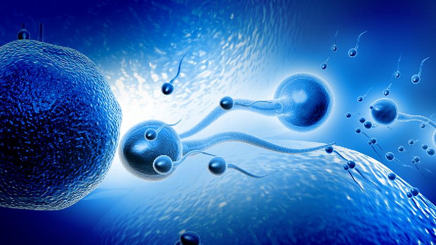 男性不孕不育应检点的习惯