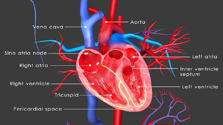 心脏病早期的症状