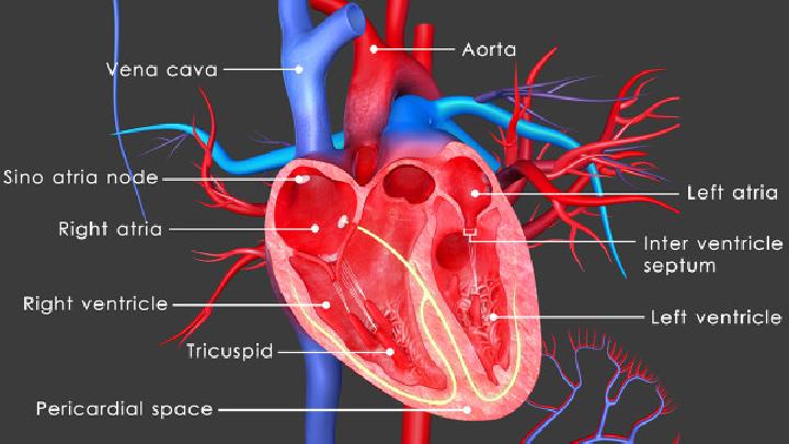 治疗心脏病的方法哪些比较好
