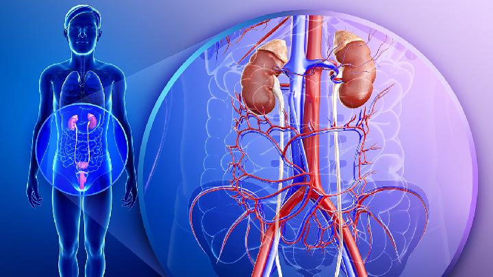 肾动脉血栓形成和栓塞是由什么原因引起的？