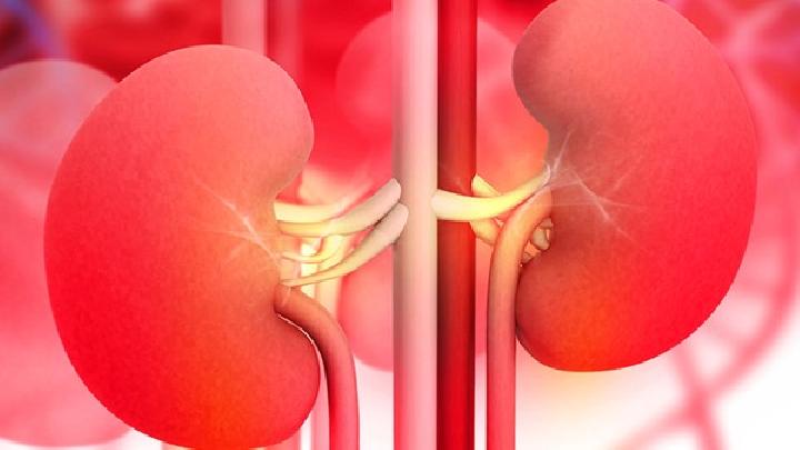 肾及输尿管结石应该如何预防？