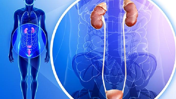 肾虚补肾食疗6个经典秘方