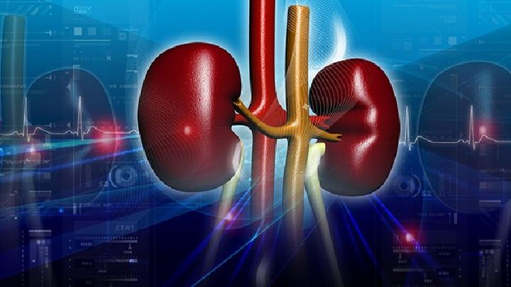 常见的引起肾盂肾炎的病因