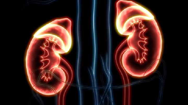 常见的急性肾盂肾炎的诊断检查有哪些