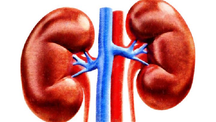 肾盂肾炎的病因和治疗