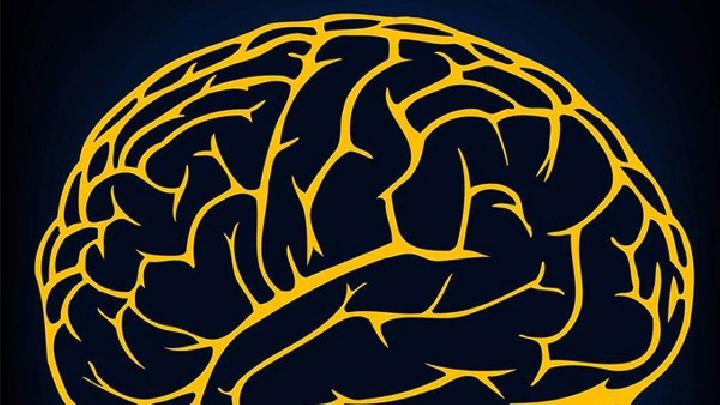 大脑发育不良的原因是什么