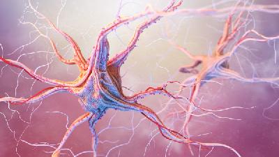 年轻癫痫神经调控治疗