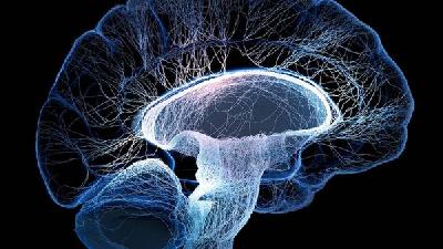 小孩脑瘫六个月能看出什么症状吗