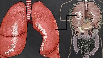 肺气肿可以做什么运动呢
